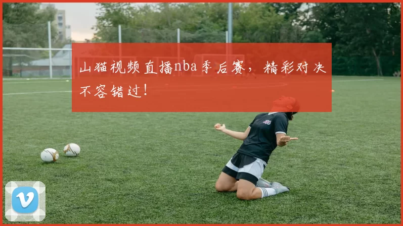 山猫视频直播nba季后赛，精彩对决不容错过！