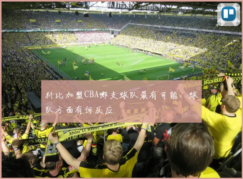 科比加盟CBA哪支球队最有可能，球队方面有何反应