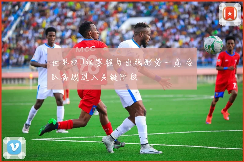 世界杯D组赛程与出线形势一览 各队备战进入关键阶段