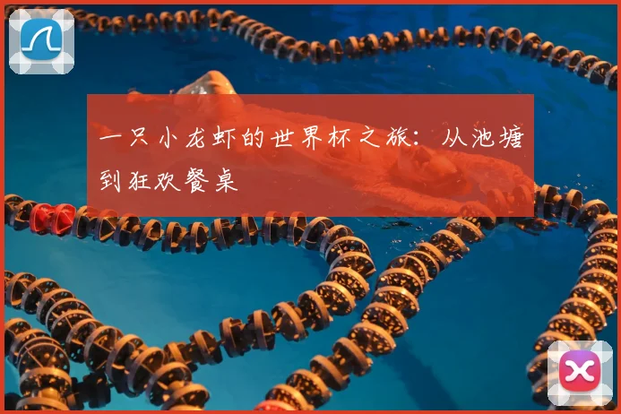 一只小龙虾的世界杯之旅：从池塘到狂欢餐桌