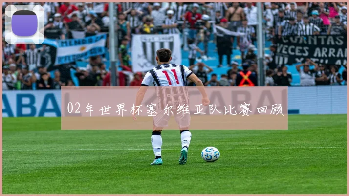 02年世界杯塞尔维亚队比赛回顾