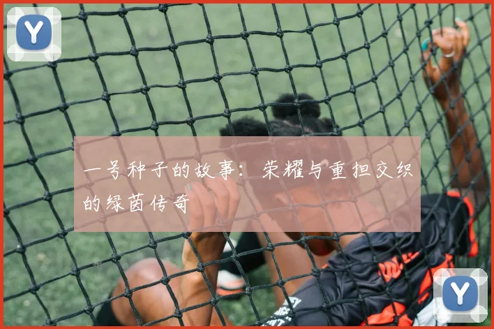 一号种子的故事：荣耀与重担交织的绿茵传奇